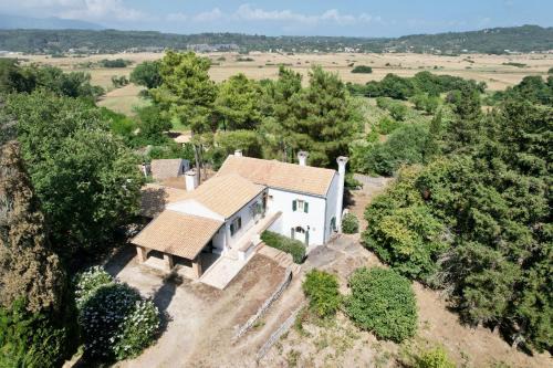 Giannades Villa | Charming Villa for nature lovers in Theotoky Estate Vineyard and olive mill