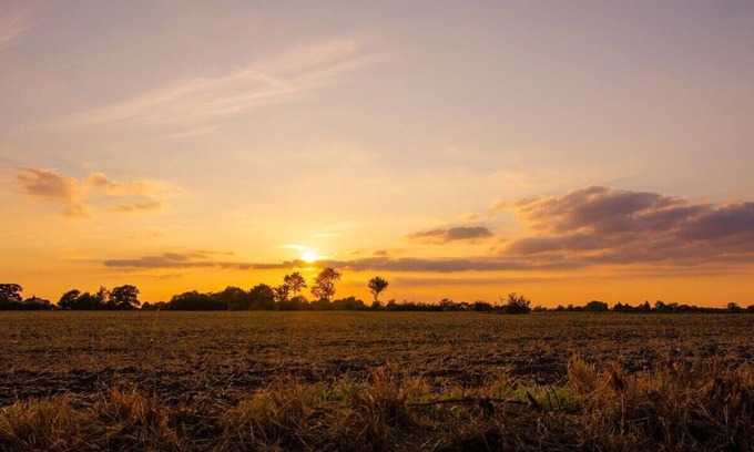 Framlingham Cottage | Cheerful two bedroom cottage with field views