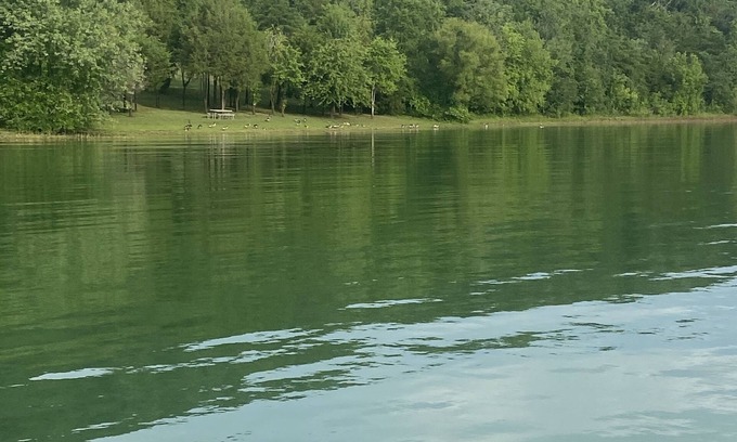 Arthur Cabin | Cherokee Lake view by Gilmore Dock 1 hour from Gatlinburg