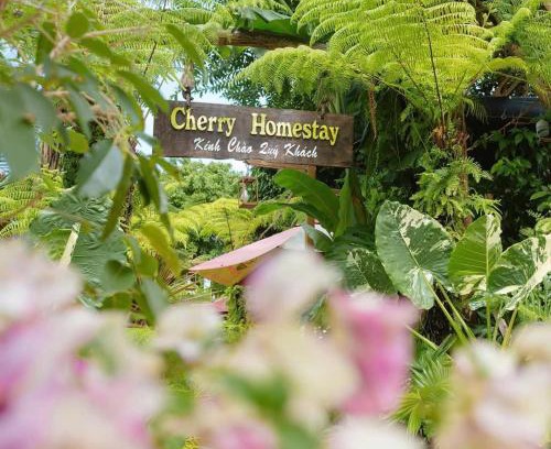 Buon Ma Thuot Bed & Breakfast | Cherry homestay bmt phòng đôi gia đình