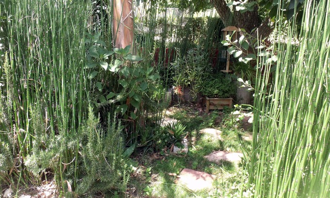 Cherry Valley Cottage | Cherry Valley Guest Cottage