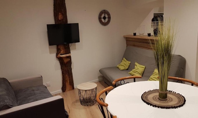 Millau Apartment | Chez Mélissa
