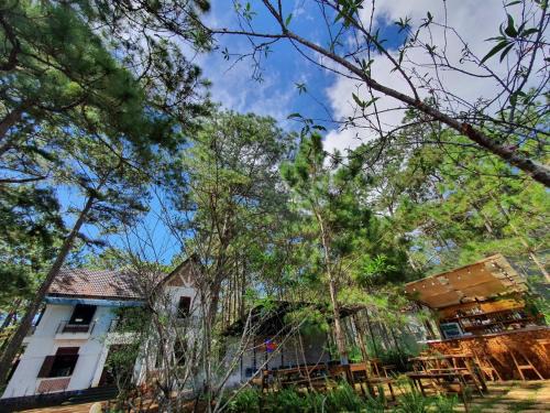Kon Plong House | Chino Homestay Măng Đen - Villa tại Măng Đen