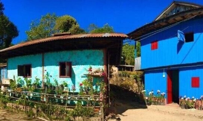 Ilam Other | Chintapu Homestay In Ilam, Eastern Nepal