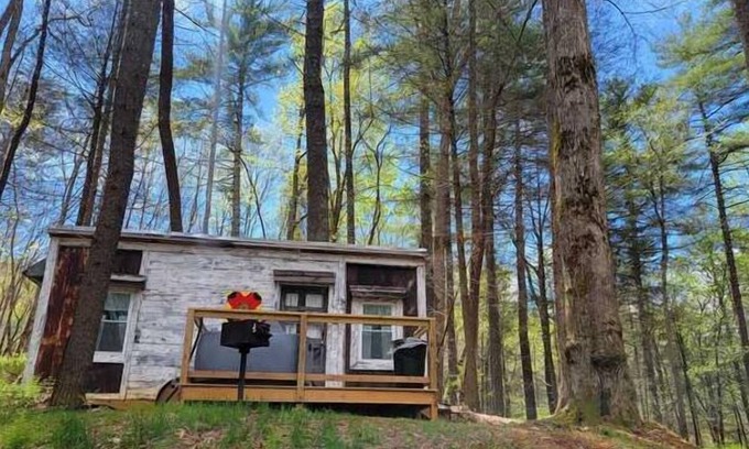Suches Cottage | Chipmunk Chalet Tinyhome, nestled in the Chattahoochee National Forest w/hot tub