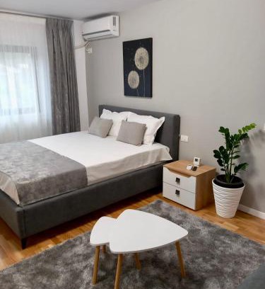 Tirgu Ocna Apartment | Chiriac's House