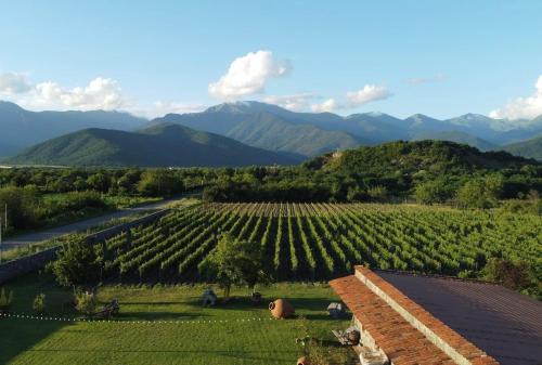 Shilda Bed & Breakfast | Chubini Winery & Cabins