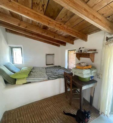 Kithira House | Circadia