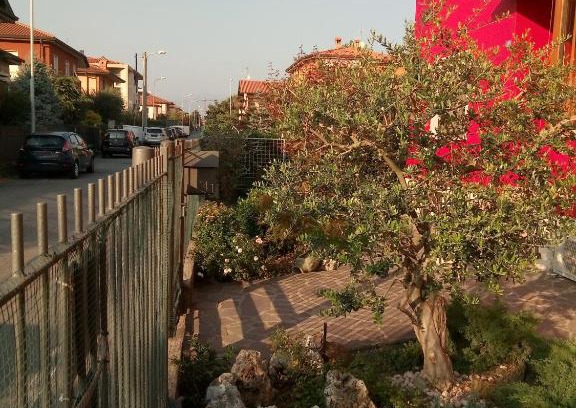 Mozzo House | Coccinella