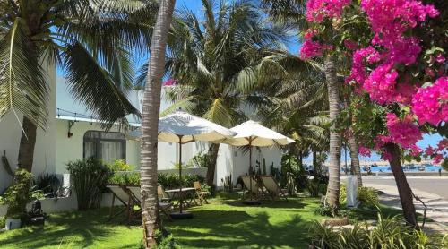 Phu Quy Apartment | Coco Villa-đảo Phú Quý