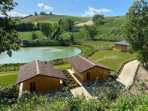 Serra de' Conti Apartment | Colleolivi