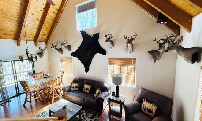 Alpine Cabin | Come Get Cozy in The Coues Cabin