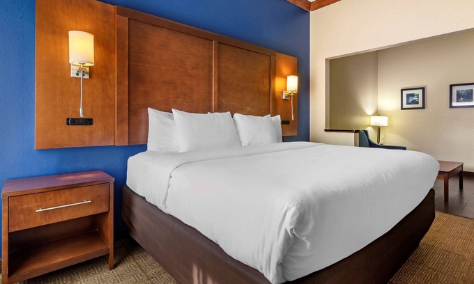 Statesboro Hotel | Comfort Inn & Suites Statesboro - University Area