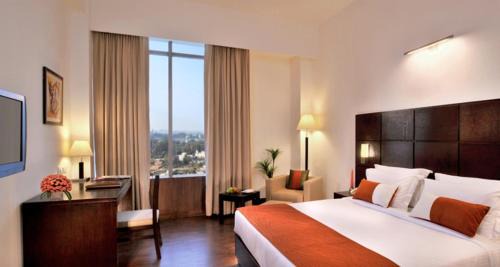 Bathinda Hotel | Comfort Inn Tulip Heights