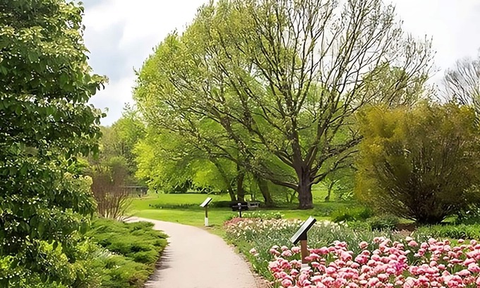 Lexington Hotel | Comfort Meets Affordability, Free Breakfast, Free Parking, Onsite Pool