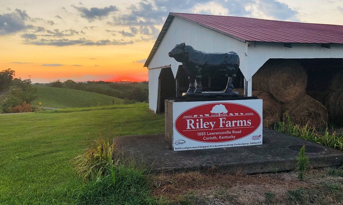 Jonesville House | Comfort & Rest @Riley Farms, ❤ of the Bluegrass- 12 mins from Ark, w/Hot Tub