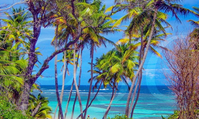 Sainte-Anne Apartment | Comfortable studio with garden access 150 m from Caritan beach