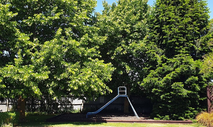 Ashburton Hotel | Commodore Motor Lodge