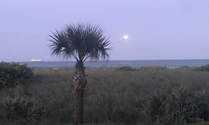 Cocoa Beach Condo | COMPLETELY REMODELED in 2020 Direct Oceanfront View 1st Floor Condo