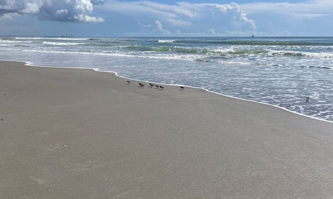 Cocoa Beach Condo | Completely Renovated Cozy & Quaint Condo Steps to Beach