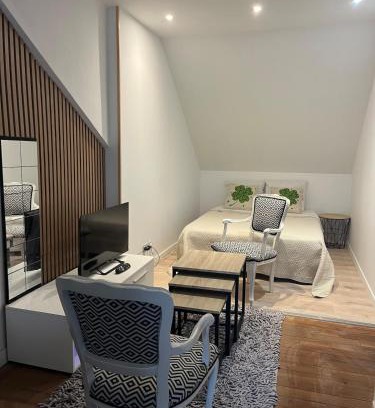 Villedieu-sur-Indre Apartment | Comptoir du Golf Studio
