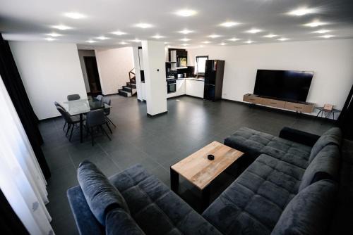 Livezeni Villa | Concept Villa