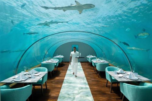 Rangalifinolhu Resort | Conrad Maldives Rangali Island