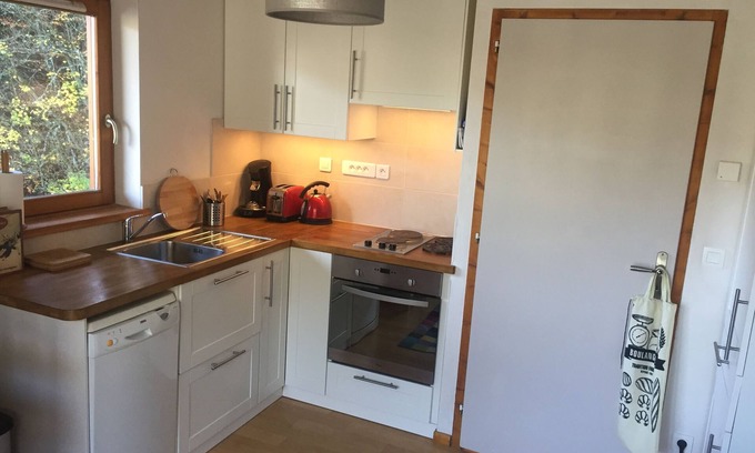 Saint-Jean-dʼAulps Apartment | Contemporary Apartment near ski lift - sleeps4/5