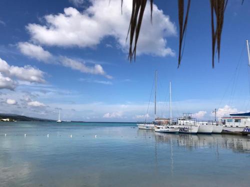 Ocho Rios Apartment | Contemporary Ocean view 2bed Carib Ocho Rios Condo