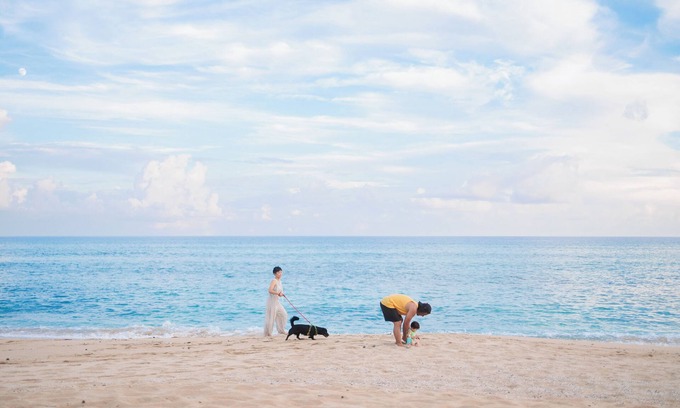 Amami Hotel | Coral Palms