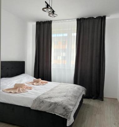 Tractorul Apartment | Coresi Grandis Residence 15