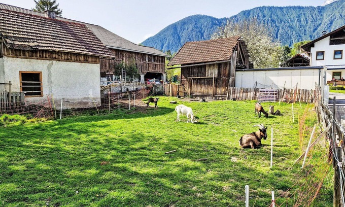 Fronhausen Apartment | Cosy apartment for 4 guests with WIFI, TV, patio and parking
