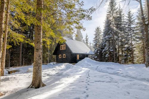 Goreljek Ski Chalet | Cosy Lodge Pokljuka