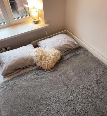 Klaipeda Apartment | Cosy Mini Studio in Old Town