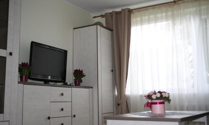 Grigiskes Apartment | Cosy one room apartment