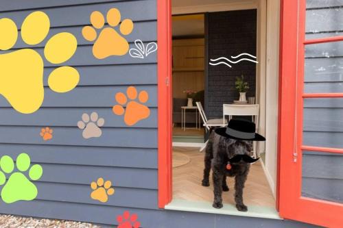 Blackheath Apartment | Cosy & Pet-friendly Blackheath Studio 3
