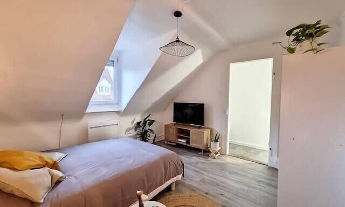 Cronenbourg Est Apartment | Cosy Rent Strasbourg saint Florent proche Gare