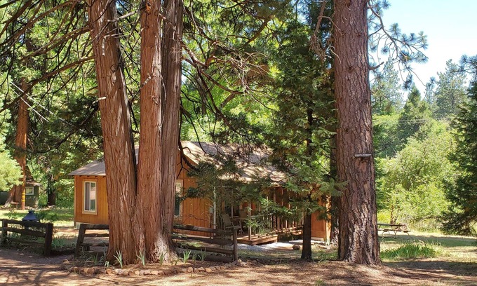 Shingletown Cottage | Cottage #2 with a Lake and Creek, 15 mi to Lassen NP