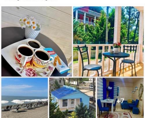 Grigoleti Apartment | Cottage Ani in grigoleti