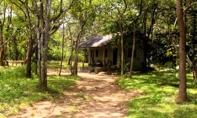 Habarana Cabin | Cottage for 3 - Eagles Wing's GuestHouse