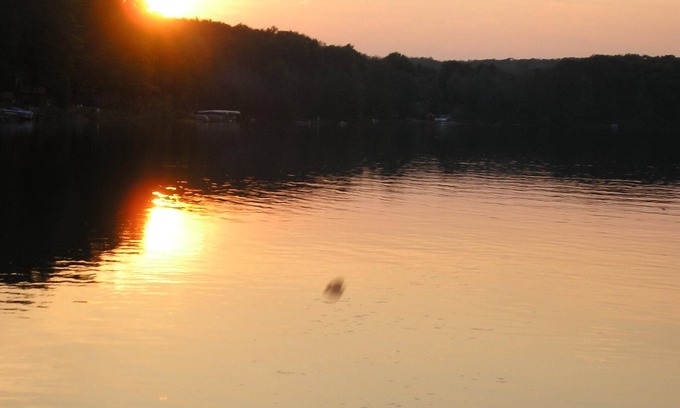Hart Cottage | Cottage in Crystal Lake