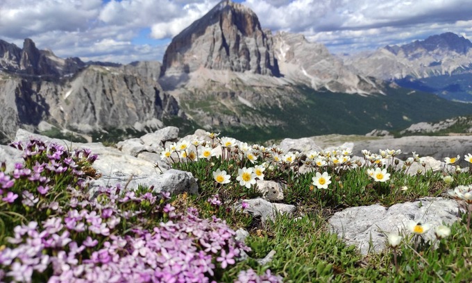 Cortina d'Ampezzo Ski Chalet | Cottage in the woods in the Dolomites.