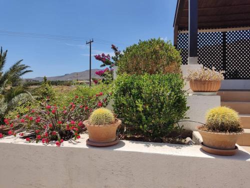 Xerokampos Apartment | Cottage with 1 bedroom in the most wonderful place - Amare