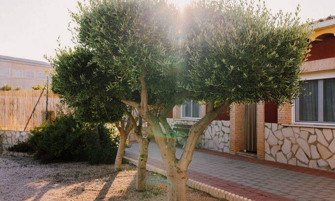 Navares House | Country House 'Casa Cayo' with Mountain View, Wi-Fi and Air Conditioning