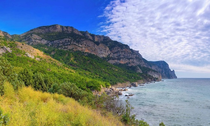 North Westminster House | Courtyard by Marriott Denver Westminster North