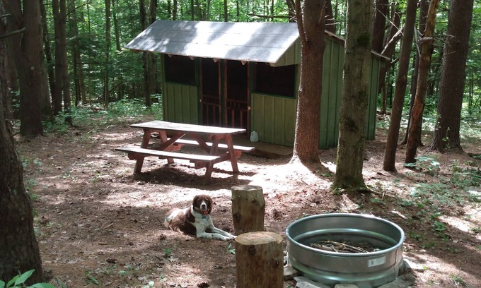 Dryden Cabin | Coyote's Den Rustic Cabin for Adventurous Camper