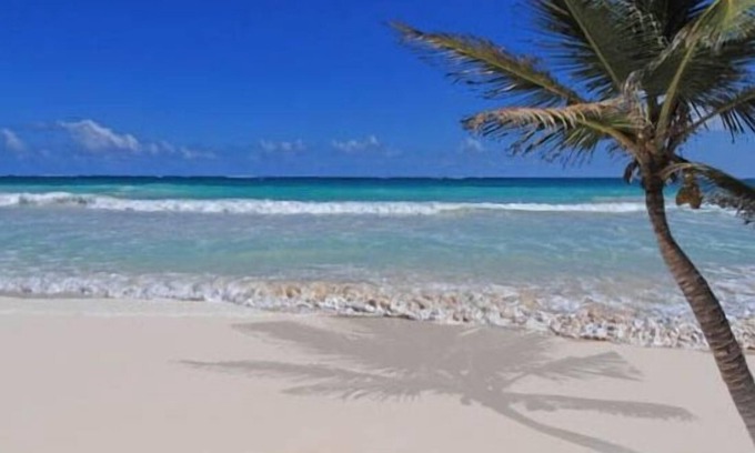 Costa Maya Condo | Cozumel Beach Front Condo on San Francisco Beach @ Residencias Reef