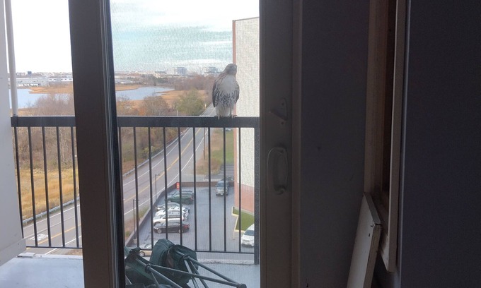 Quincy Condo | Cozy 1-bedroom condo in awesome Quincy with WiFi, AC