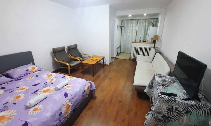 Sector 2 Apartment | Cozy 1 BR apartment with free street parking