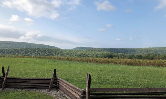 Weikert Cabin | Cozy 2-bedroom cabin in tranquil Millmont with AC, free WiFi, fire pit, hammock
